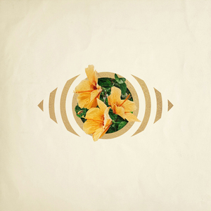 千鹤开发日记番剧动漫免费观看
